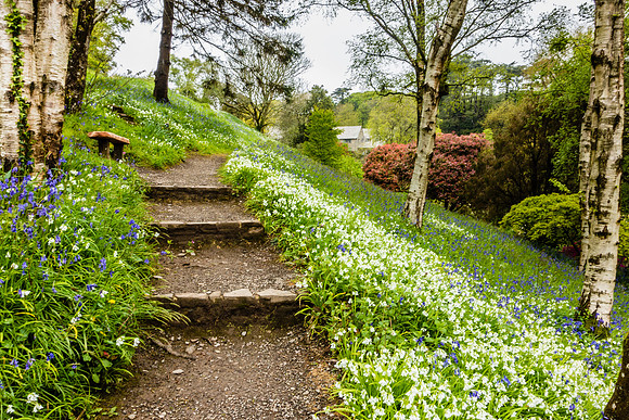 Coleton Fishacre