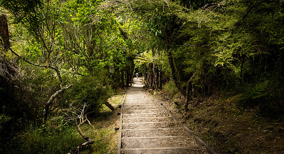 Waimangu Volcanic Valley