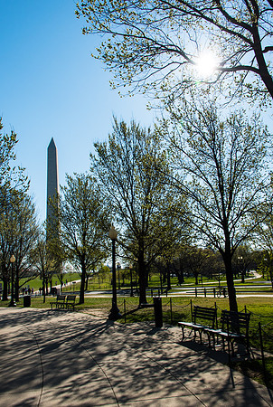 Washington DC