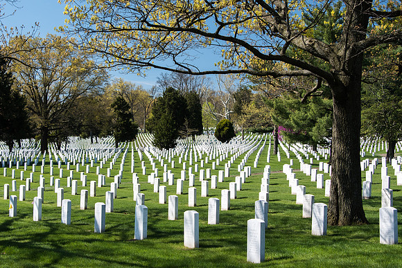 Arlington Cemetry