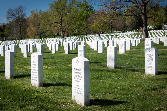 Arlington Cemetry