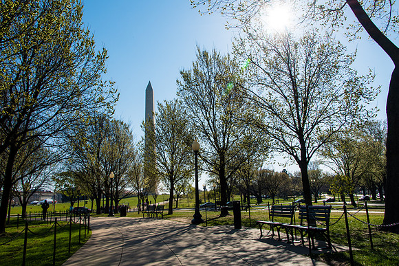 Washington DC