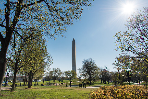 Washington Monument