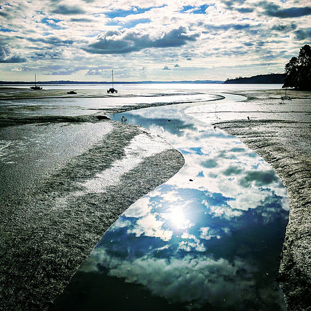 Cox Bay, Auckland