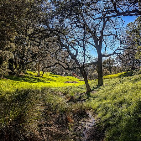 Western Park, Auckland