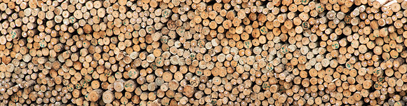 Logs