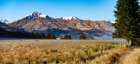 Dart River Valley, New Zealand