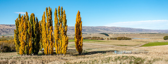 Otago Central Rail Trail
