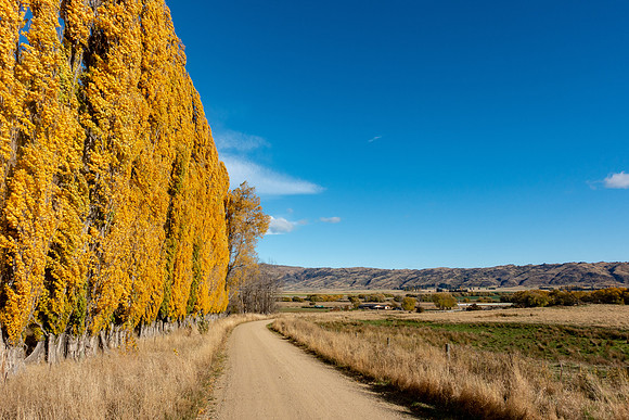 Otago Central Rail Trail