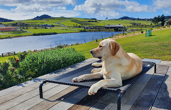 Parker relaxing