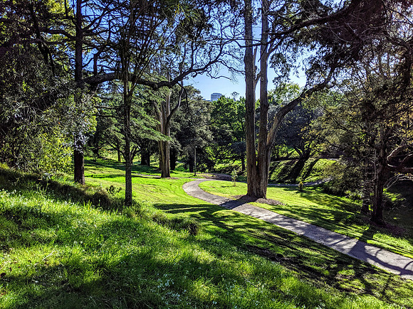 Western Park, Auckland
