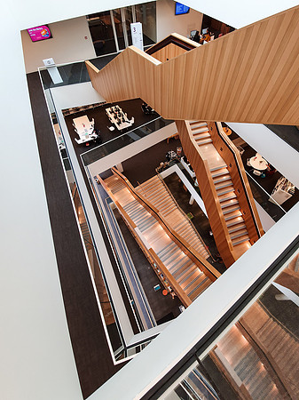 Christchurch library
