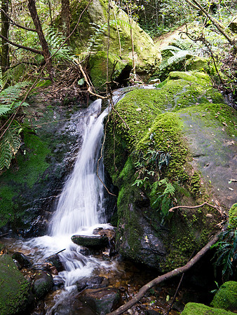 Blue Mountains Stream